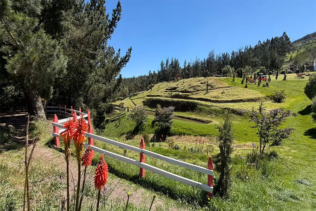 IMG_0586 copy